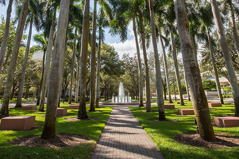 Fountain at the end of a walkway at the University of Miami Coral Gables Campus